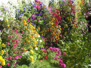 Master Gardener Lecture Series