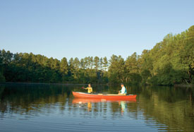 plpromo-community-defimg