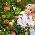 screen-shot-2016-11-15-at-1-49-51-pm