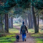 Man with dog on path in forest