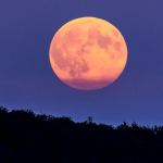 Don’t miss the next Supermoon Feb 19